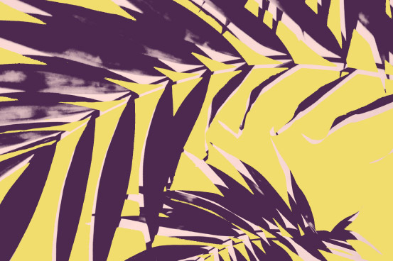 A graphic purple and yellow image of palm leaves