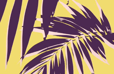 Graphic purple, pink, and yellow image of a palm leaf